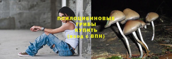 гидра Абдулино