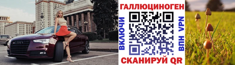OMG зеркало  Староминская  Псилоцибиновые грибы GOLDEN TEACHER 